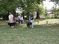 img 077